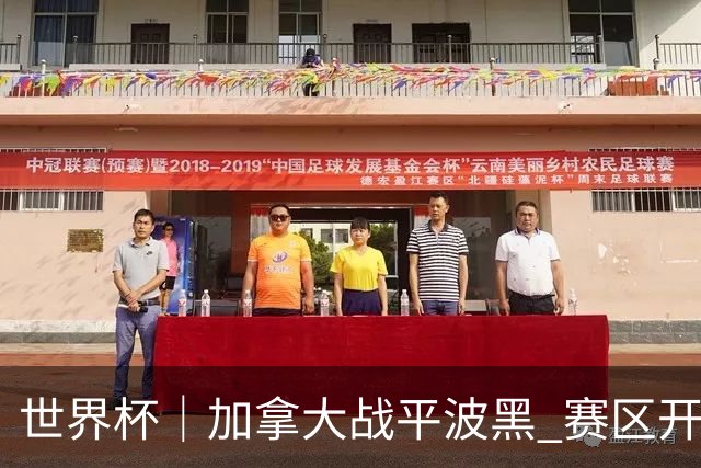 世界杯｜加拿大战平波黑 赛区开幕式表演“翻车”